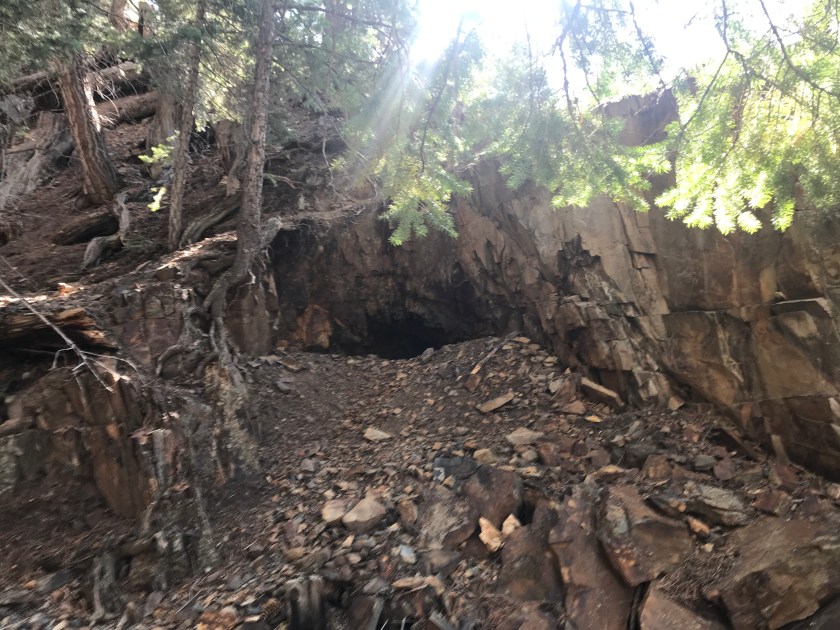 B957C65A-9FCC-4FB4-AF06-C0FE503DE26E