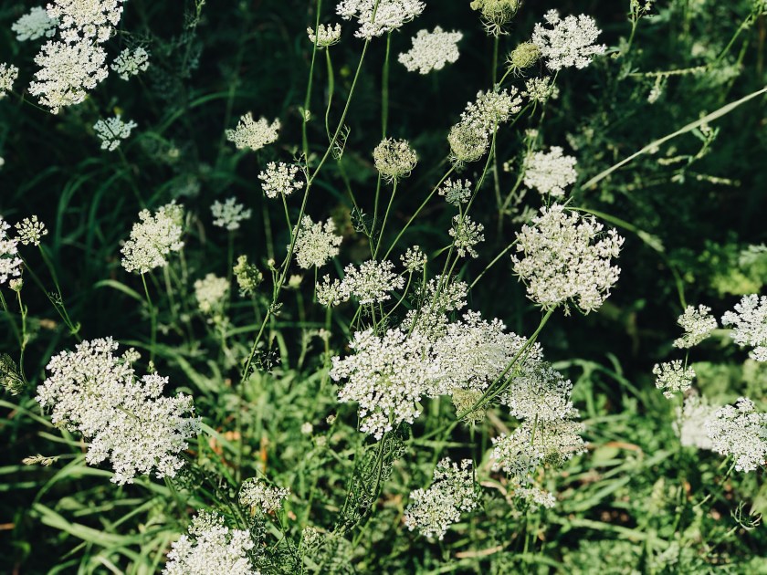 Processed with VSCO with a6 preset