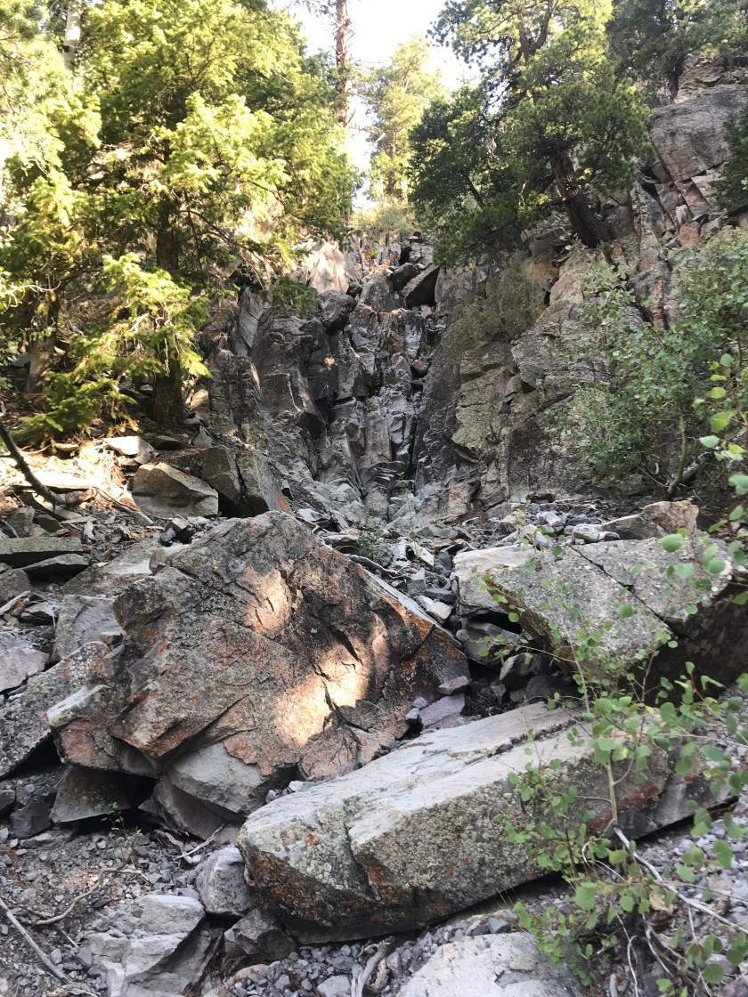 C028B702-759F-4974-A7C1-8A63ACC7BDED