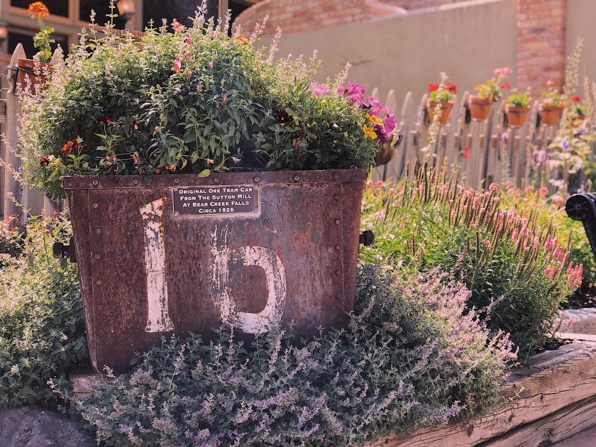 Processed with VSCO with dog3 preset