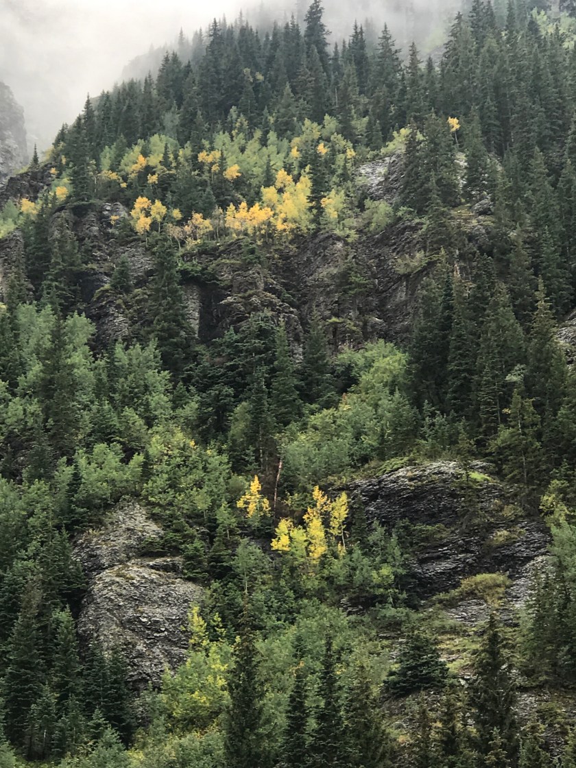 C4327C0F-19C7-4341-9215-BE5FC18F22E0