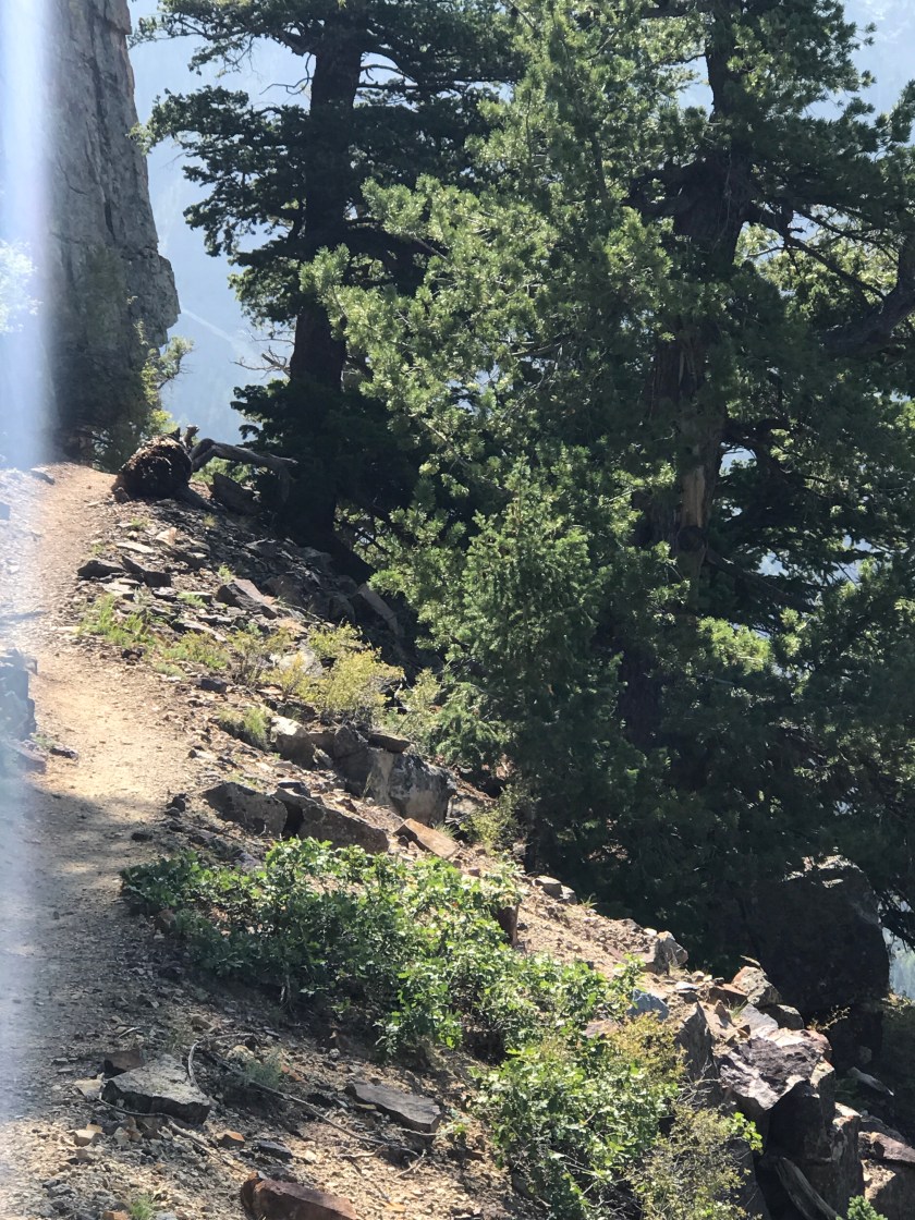 C55408D2-0E19-4F65-B121-1F871DB0EE9C