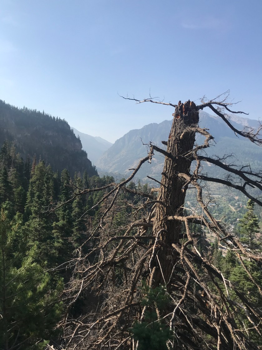 C6079EAD-BF54-496E-B9C9-127AB2CF2390