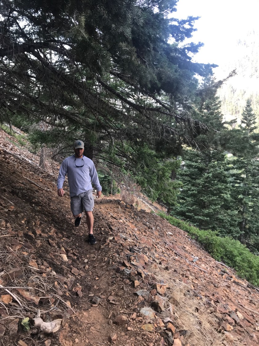 CA597E52-753C-4E15-9720-9A50BE8ABA7B