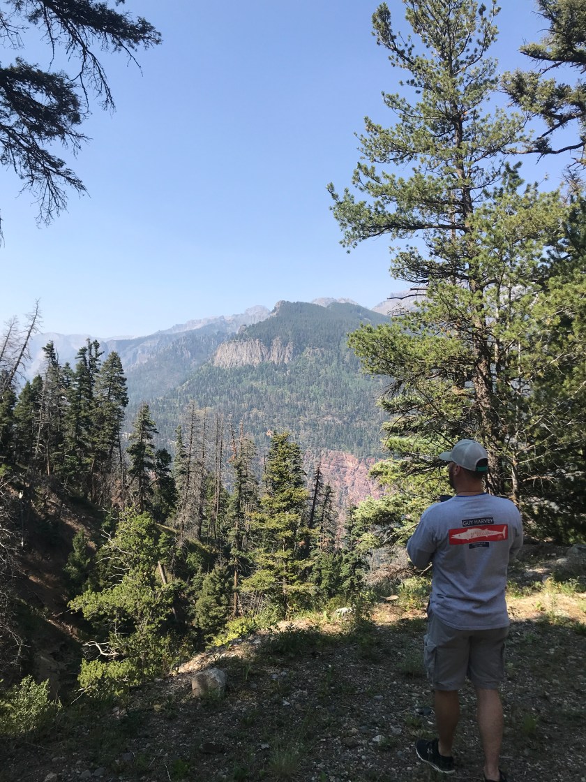 D4224C96-D34E-4045-95CC-0F66D6C55902