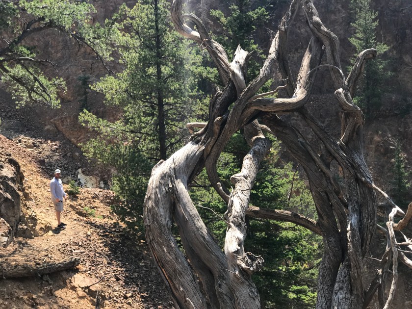 DCF2C002-7925-44FB-B3F0-BEB3945B44EB