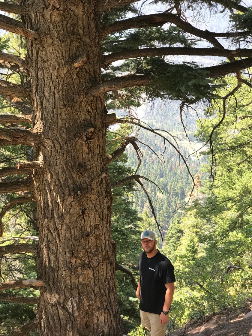 DD357314-059F-4D2D-8A5B-0D2E1704BF24