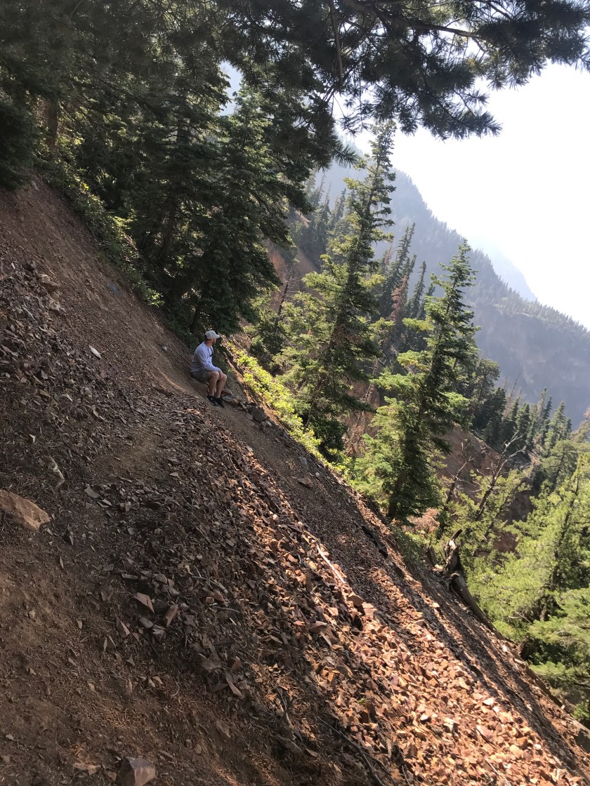 DDABB318-2AB9-4008-A191-F847E5B60BE6