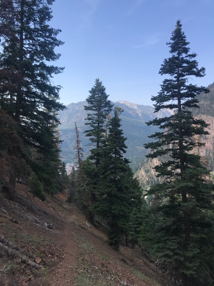 E222E40C-FCDD-4B83-B844-7E826CE659D2