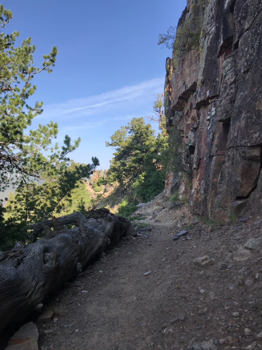 E5759499-6399-4916-A6D5-410B4DFC7CAF