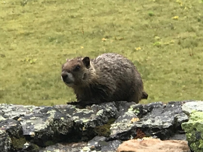 E956EA33-6212-4CED-9F5F-F25D39949E95