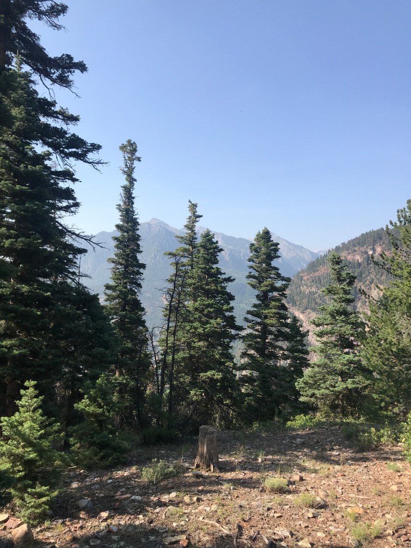 EE88B4B1-870B-4541-877B-A3EB20620AA4