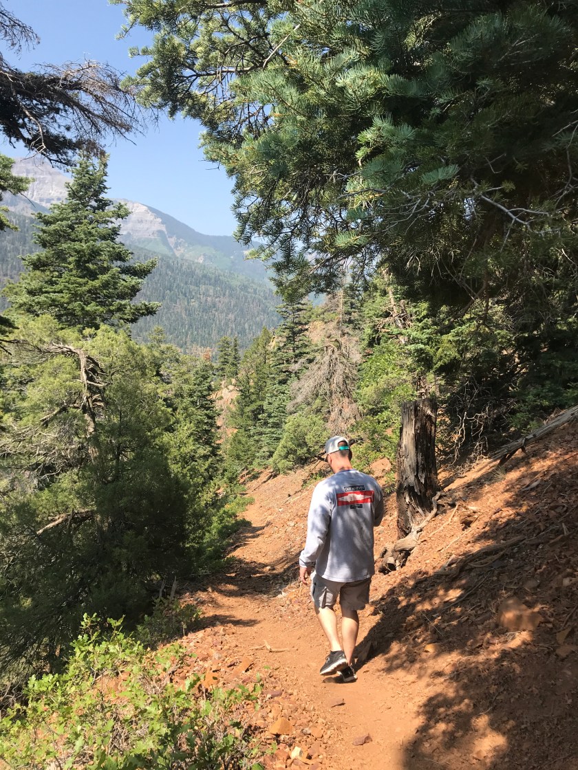 F502F2DE-38D8-4F87-B7B7-5C01AAC33E4B