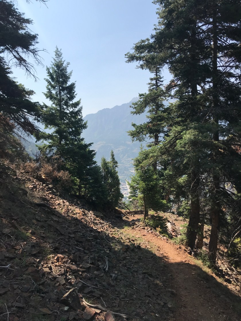 F707A357-7BF2-4C45-84CA-1D839500A210