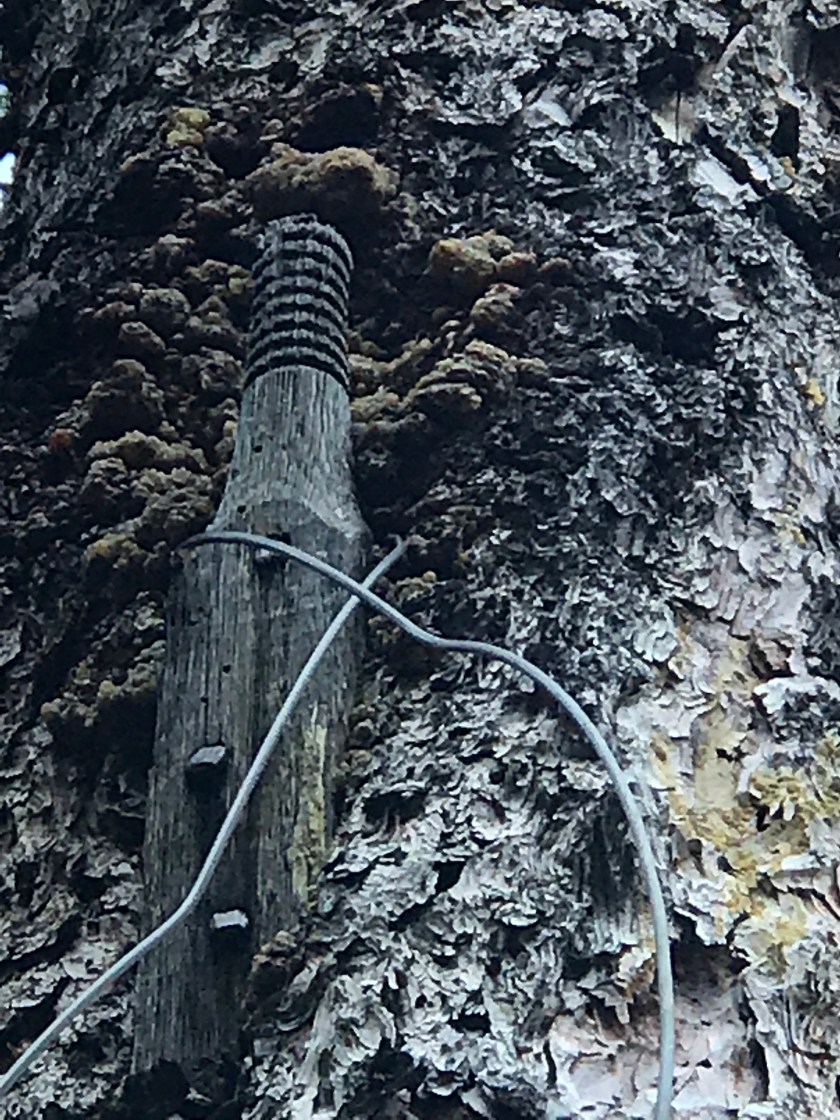 F7D42F96-1F5F-44EF-93D4-CA6074B1B307