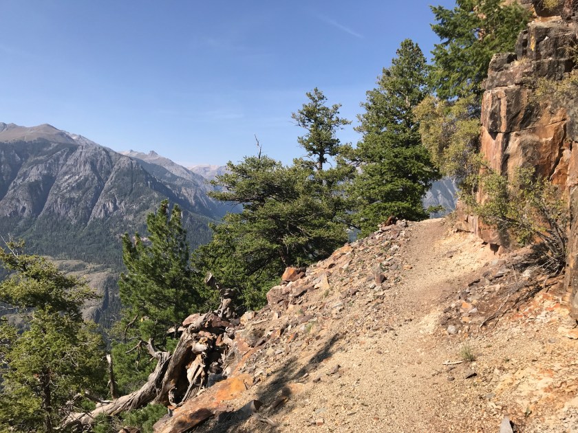 F807FB7A-A6E8-46D3-B39F-303254C13121