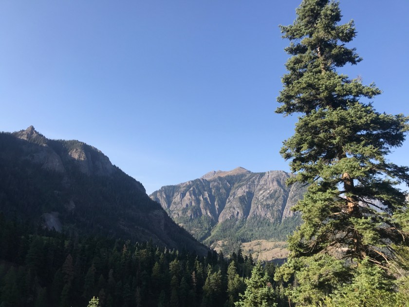 FF178D02-9E59-4067-88FC-E3F1F12546B8