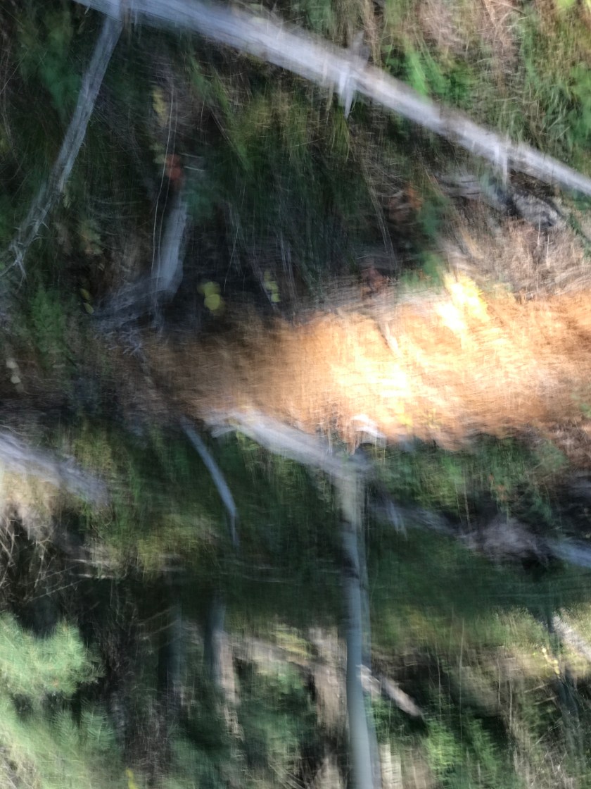 FF20F952-ABB5-49F4-9C10-7D1164A16005